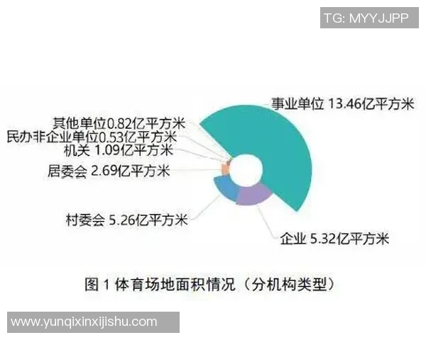 体育赛事安全问题分析